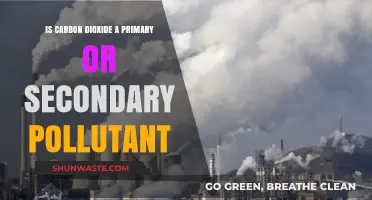 Carbon Dioxide: Primary or Secondary Pollutant?