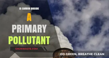 Carbon Dioxide: Primary Pollutant or Not?