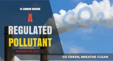 Carbon Dioxide: Regulated Pollutant or Not?