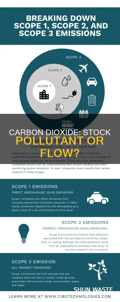 is carbon dioxide a stock pollutant