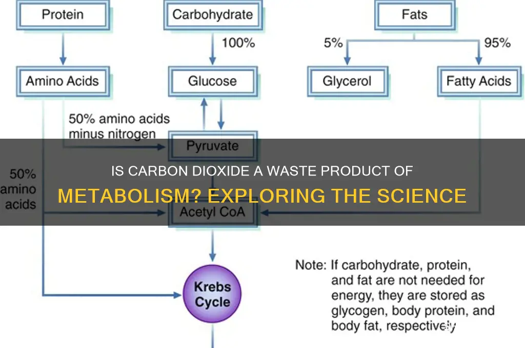 is carbon dioxide a waste product of metabolism