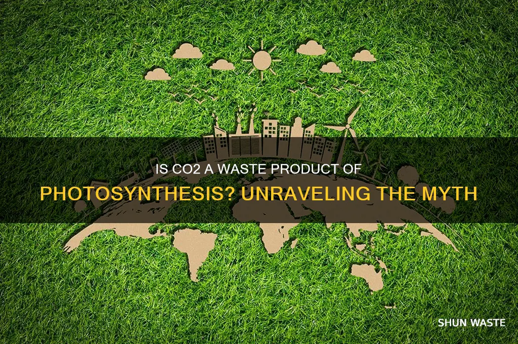 is carbon dioxide a waste product of photosynthesis