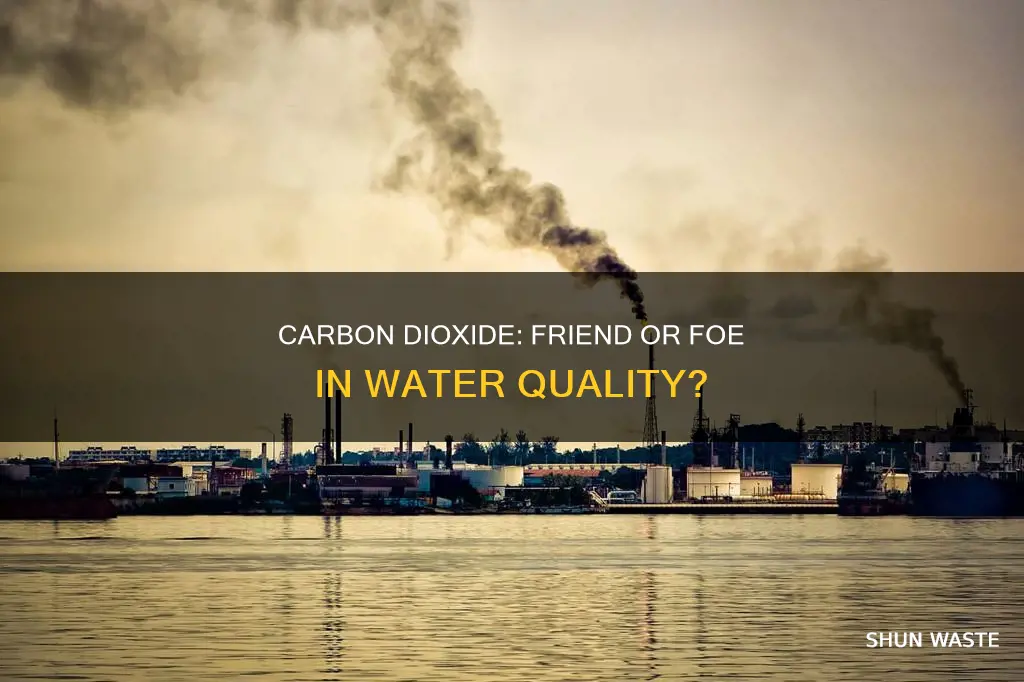 is carbon dioxide a water pollutant