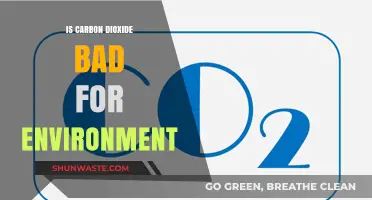 Is Carbon Dioxide Harming Our Planet? Uncovering Environmental Impacts