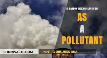 Carbon Dioxide: Pollutant or Not?