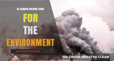 Carbon Dioxide's Role: Environmental Villain or Unsung Hero?