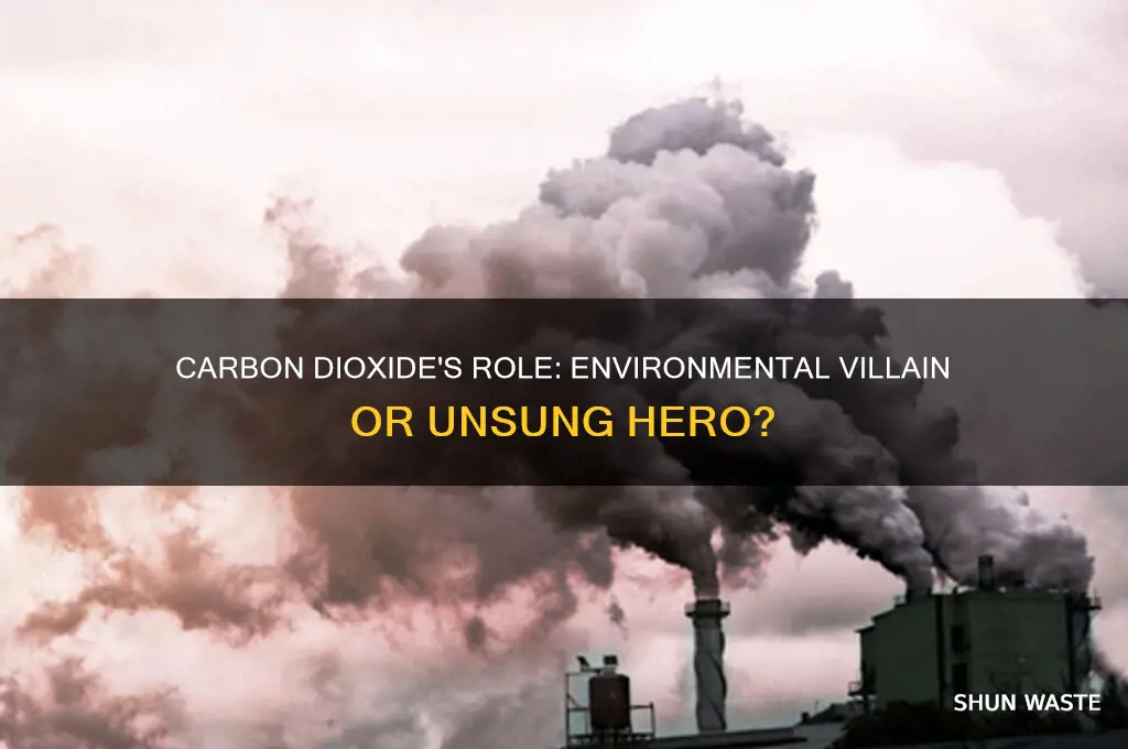is carbon dioxide good for the environment