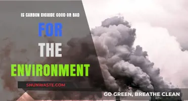 Carbon Dioxide: Environmental Villain or Vital Component?