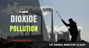 Carbon Dioxide: Friend or Foe?