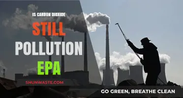 Carbon Dioxide: Friend or Foe?