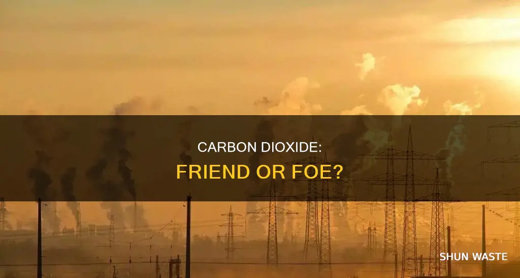 is carbon dioxide still pollution epa