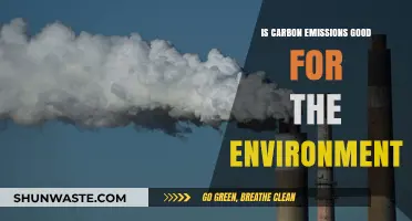 Carbon Emissions: Environmental Villain or Misunderstood Climate Factor?