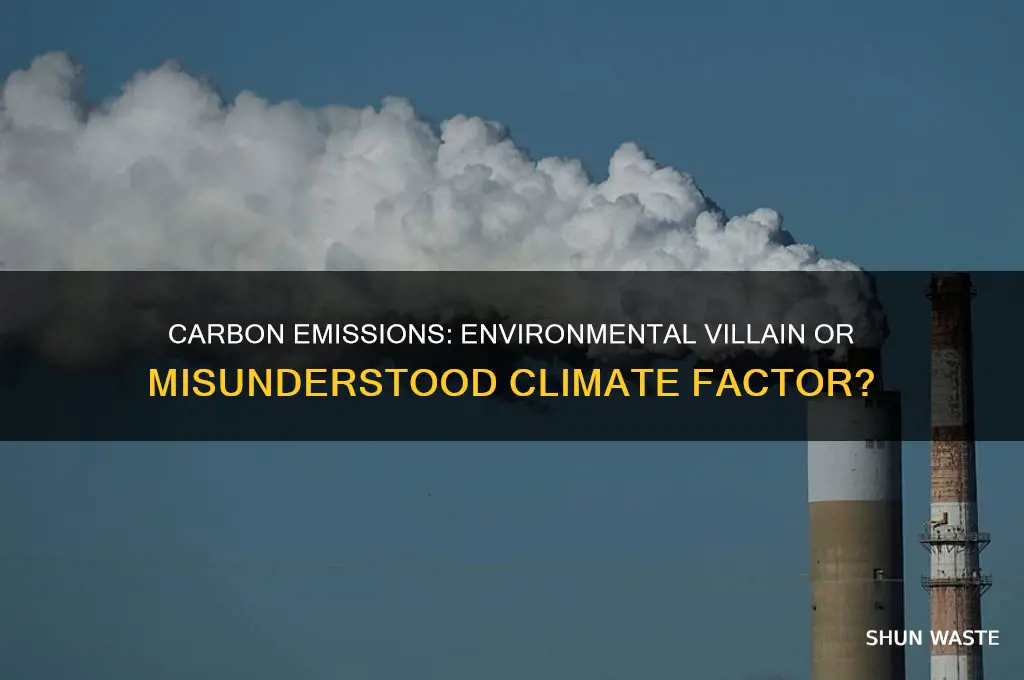 is carbon emissions good for the environment
