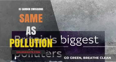 Carbon Emissions: Pollution's Evil Twin?