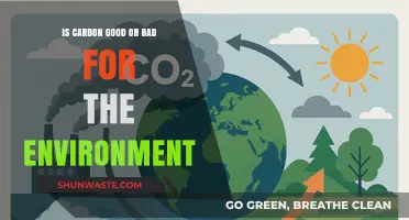 Carbon's Dual Nature: Environmental Villain or Unsung Hero?