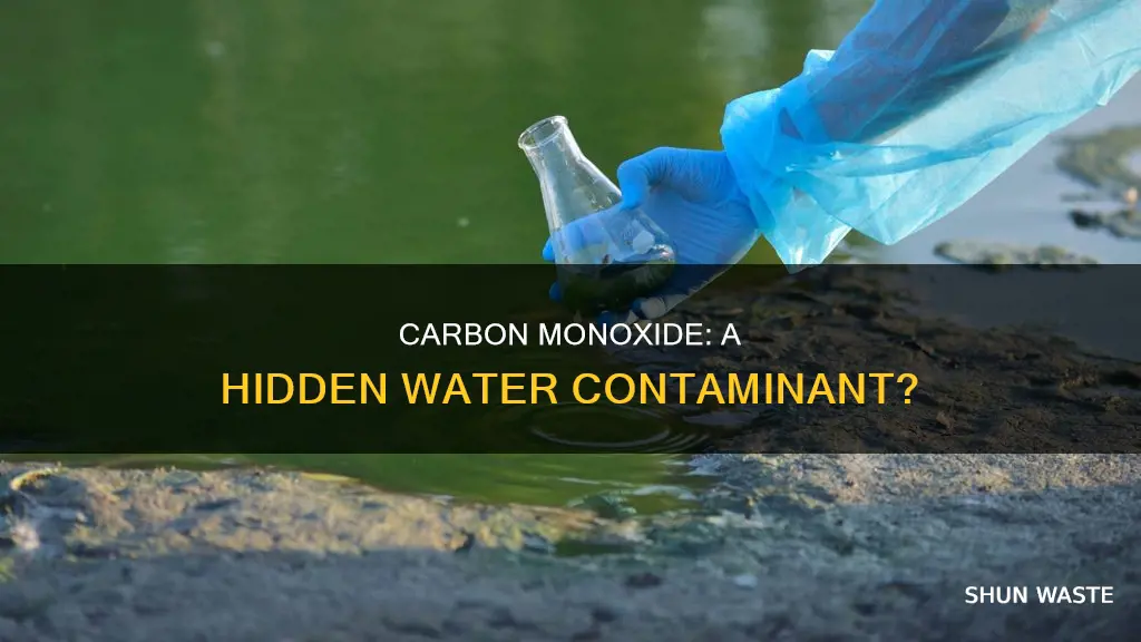 is carbon monoxide a common pollutant released into water supply