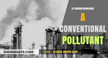 Carbon Monoxide: Conventional Pollutant or Not?