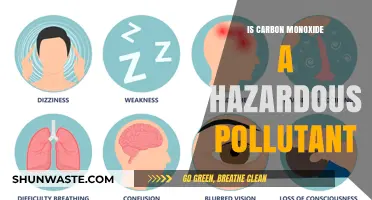 Carbon Monoxide: A Silent, Deadly Pollutant