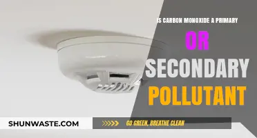 Carbon Monoxide: Primary or Secondary Pollutant?