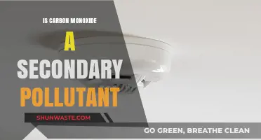 Carbon Monoxide: A Secondary Pollutant?
