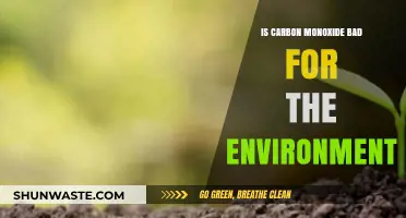 Carbon Monoxide's Environmental Impact: Harmful Effects and Solutions