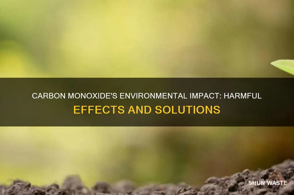 is carbon monoxide bad for the environment