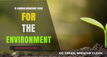 Carbon Monoxide's Environmental Impact: Harmful or Beneficial?