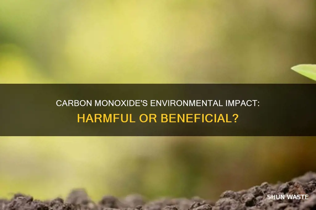 is carbon monoxide good for the environment