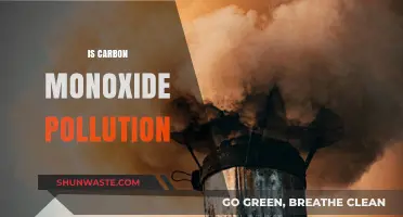 Carbon Monoxide: A Silent, Deadly Pollutant