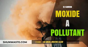 Carbon Monoxide: A Silent, Deadly Pollutant