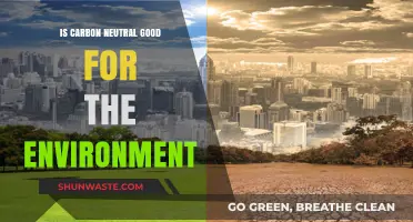 Is Carbon Neutrality Truly Beneficial for Our Environment?