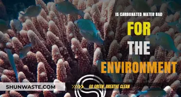 Carbonated Water's Environmental Impact: Sustainable Choice or Eco-Hazard?