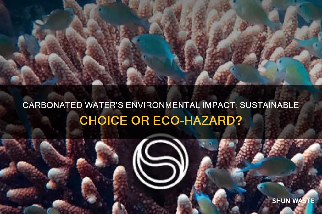 is carbonated water bad for the environment