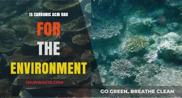 Carbonic Acid's Environmental Impact: Friend or Foe for Our Planet?