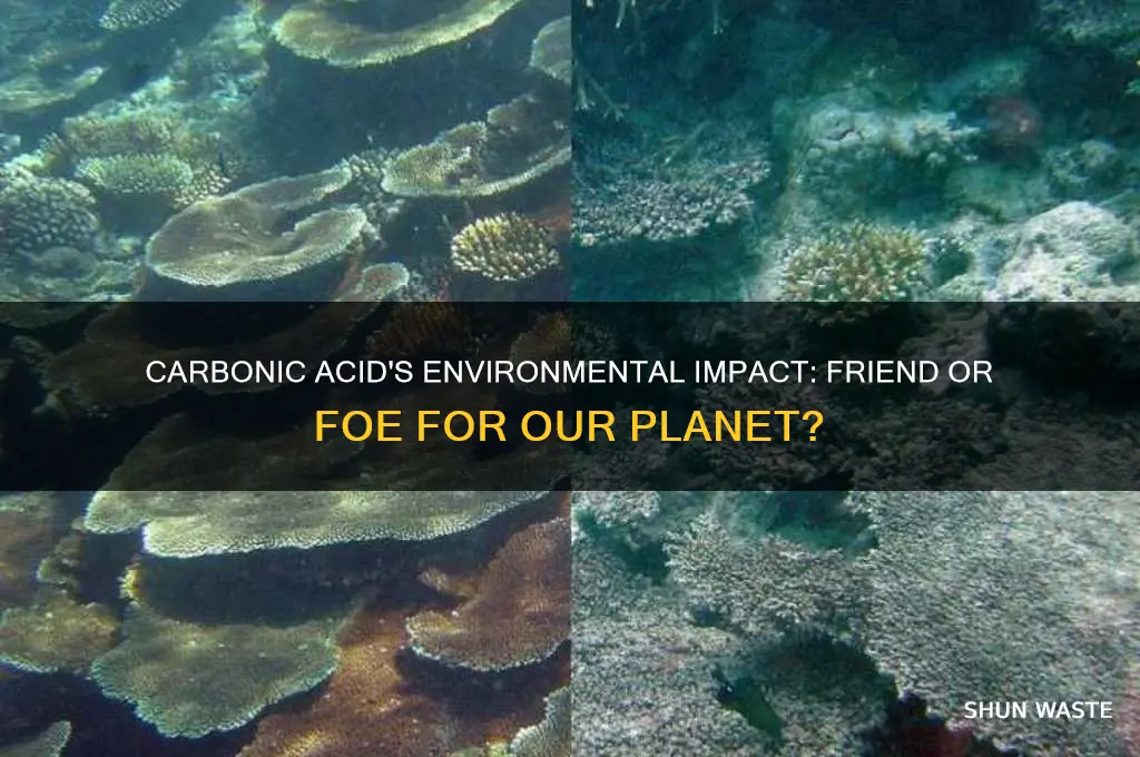 is carbonic acid bad for the environment