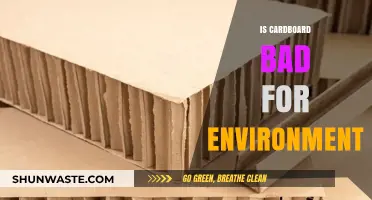 Is Cardboard Eco-Friendly? Uncovering Its Environmental Impact and Sustainability