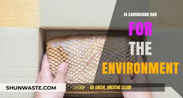 Cardboard's Environmental Impact: Sustainable or Harmful for Our Planet?