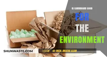 Is Cardboard Eco-Friendly? Unpacking Its Environmental Impact and Benefits
