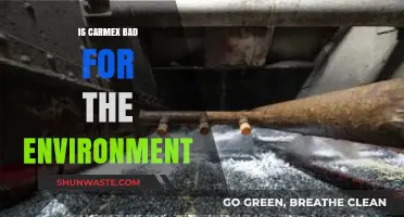 Is Carmex Eco-Friendly? Environmental Impact of Lip Balm Explained