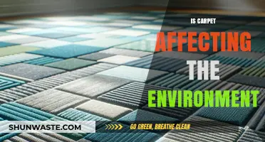 Carpet's Environmental Impact: Uncovering Its Hidden Ecological Footprint