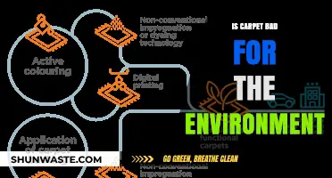 Is Carpet Eco-Friendly? Uncovering Its Environmental Impact and Sustainability