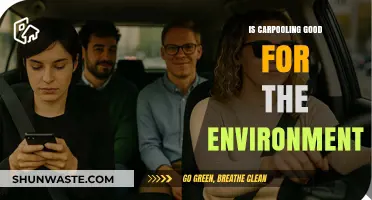 Carpooling's Eco-Impact: Reducing Emissions and Promoting Sustainability