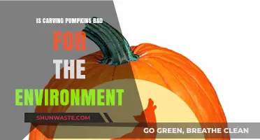 Is Pumpkin Carving Eco-Friendly? Environmental Impact of Halloween Traditions