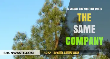 Casella vs. Pine Tree Waste: Are They the Same Company?