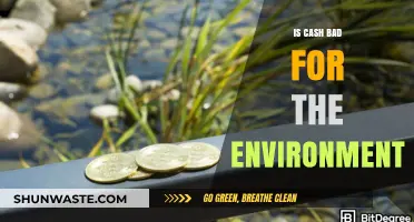 Cash's Environmental Impact: Uncovering the Hidden Costs of Physical Currency