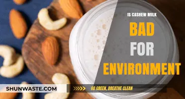 Is Cashew Milk Eco-Friendly? Environmental Impact Explained