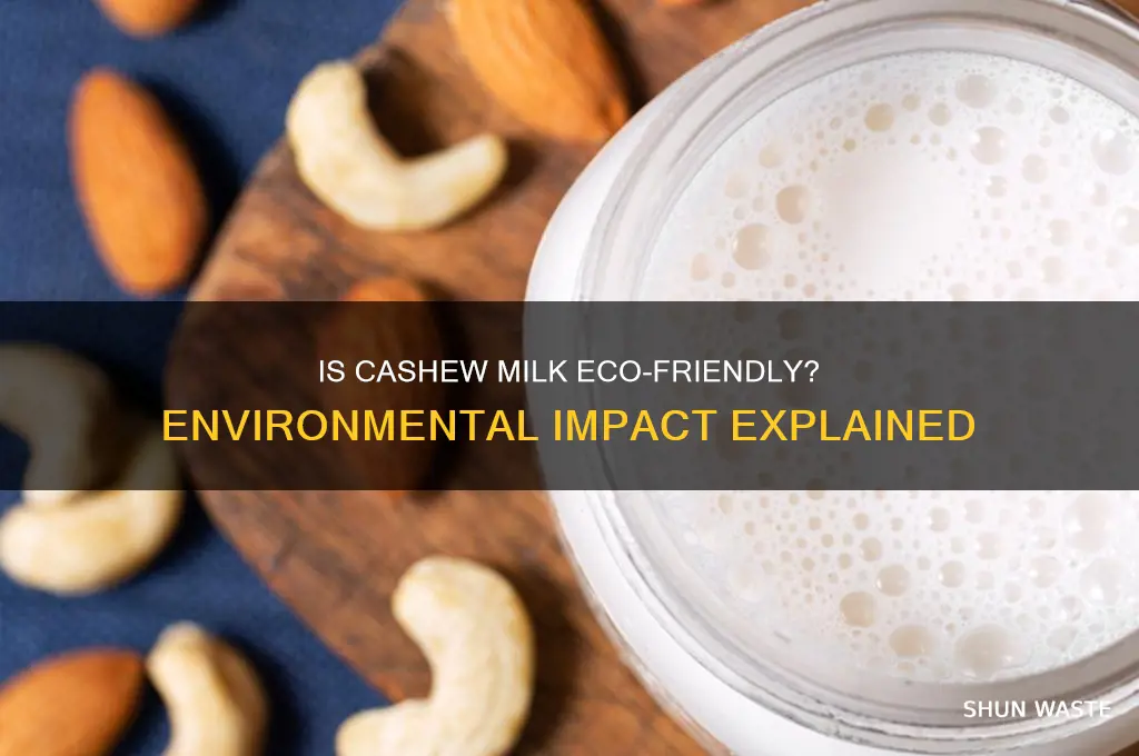 is cashew milk bad for environment