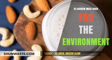 Is Cashew Milk Eco-Friendly? Exploring Its Environmental Impact and Benefits