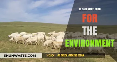 Is Cashmere Eco-Friendly? Unraveling Its Environmental Impact and Sustainability