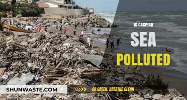 Caspian Sea Pollution: What's the Reality?